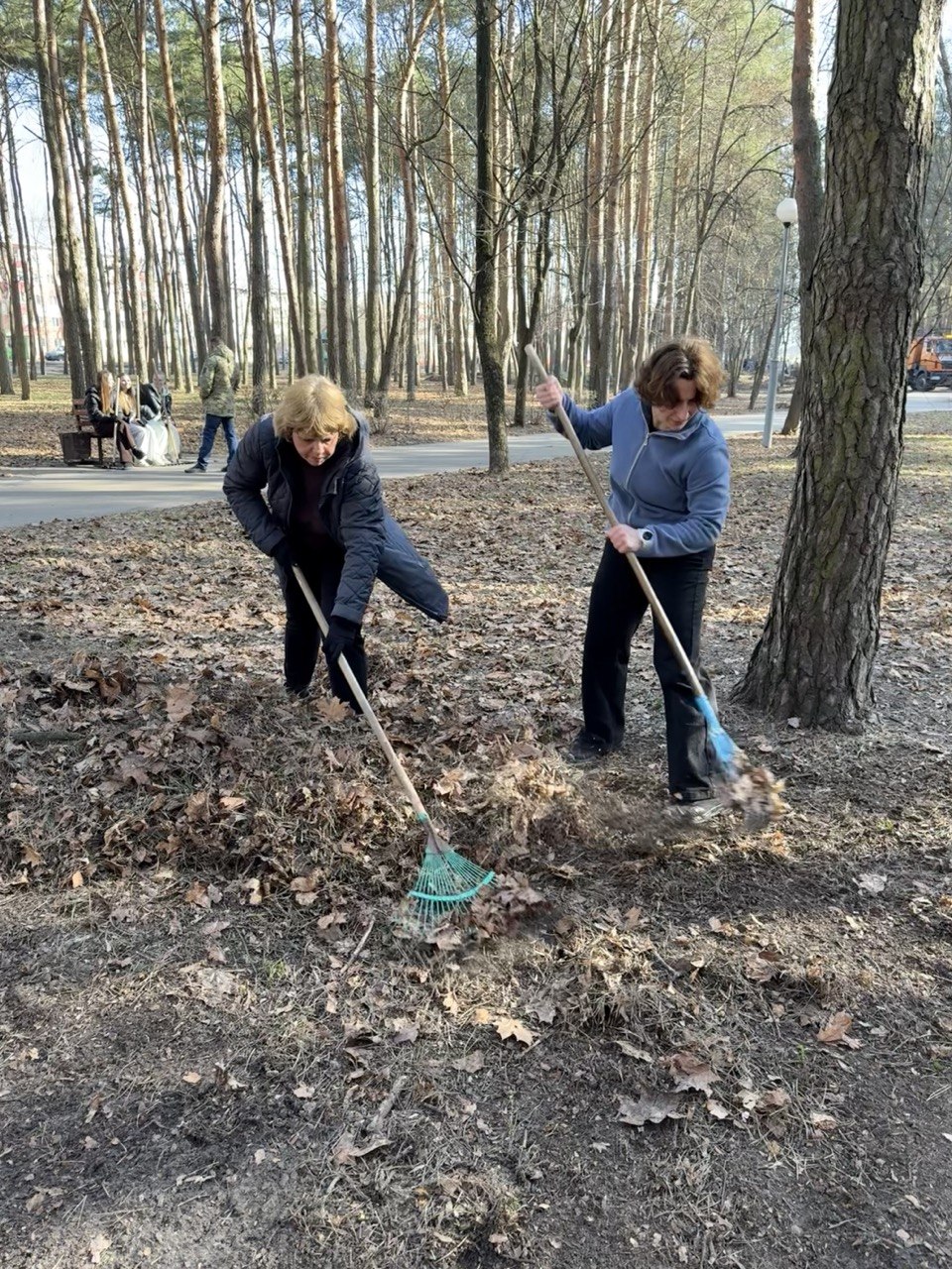 2 МСФ на областном субботнике 2 МСФ на областном субботнике