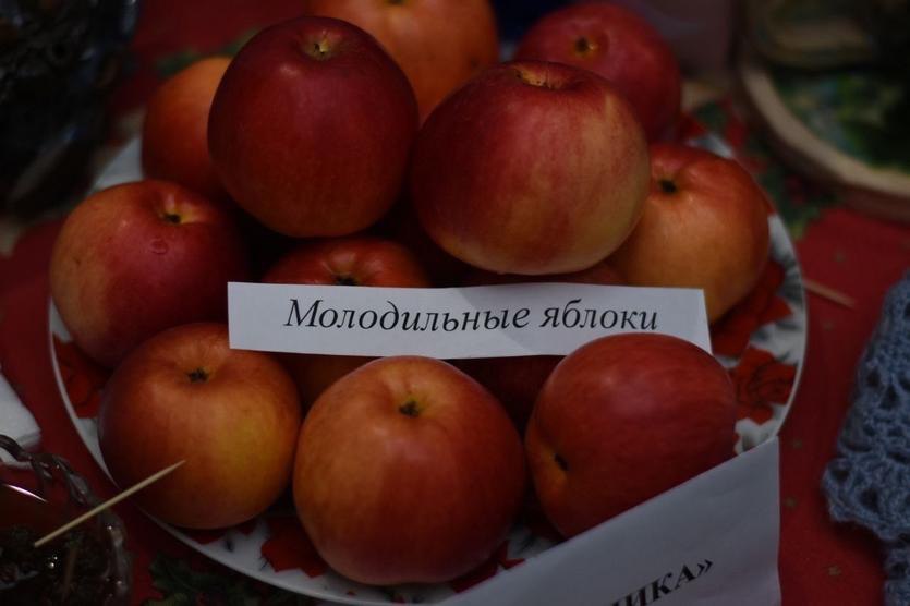 5 Творческие достижения «Хозяюшек» МСФ