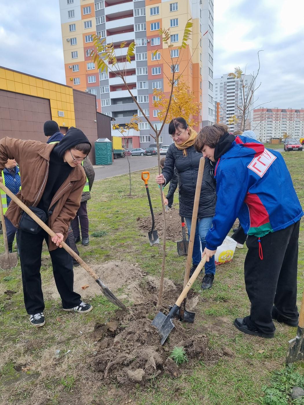 Студенты МСФ приняли участие в осеннем субботнике