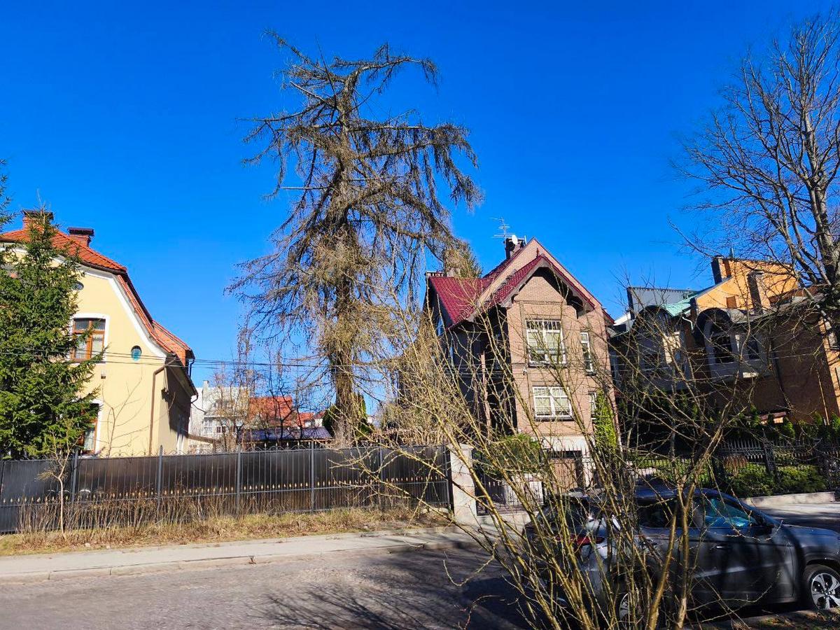 2 Студенты МСФ в Калининграде