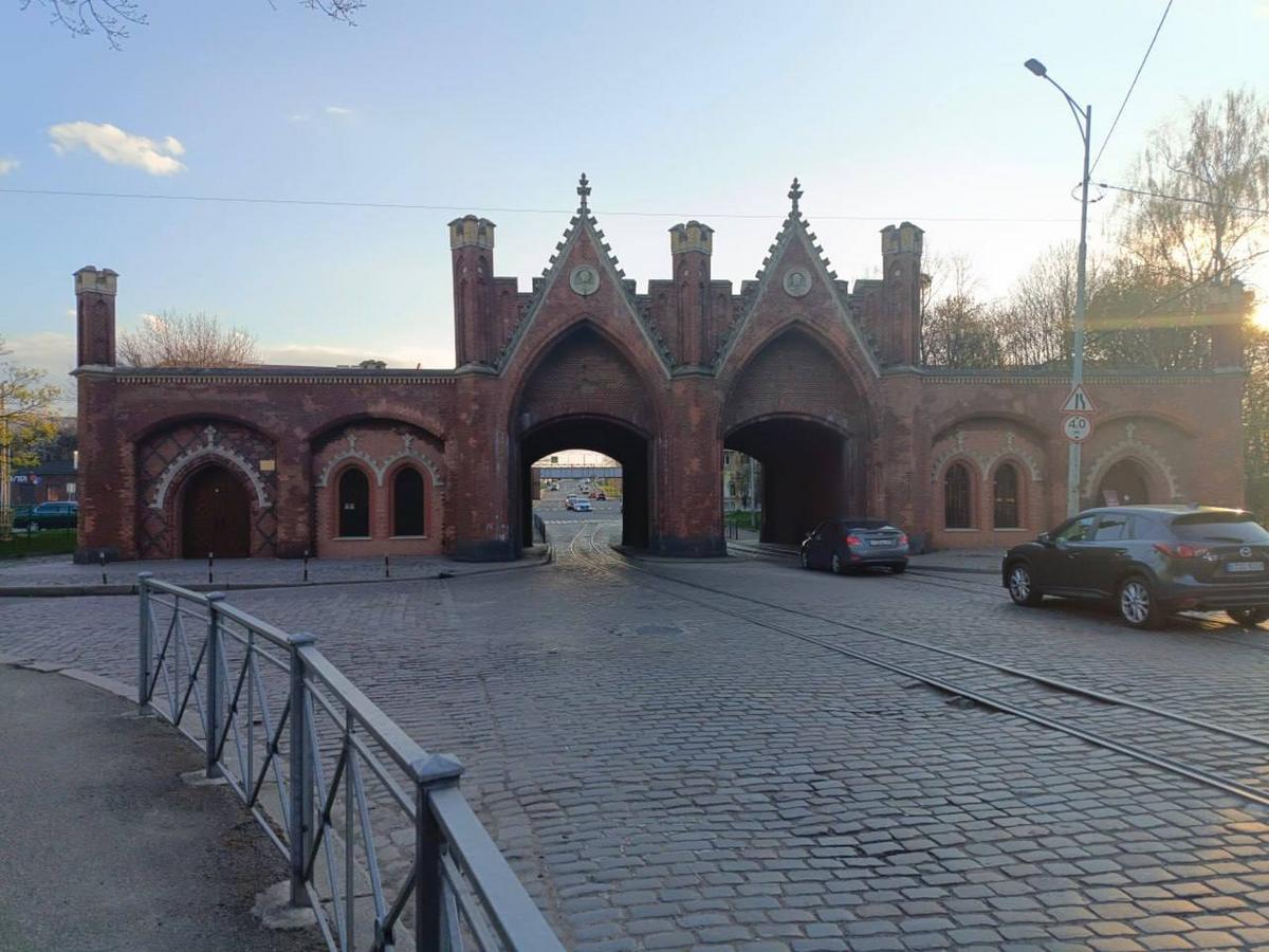 7 Студенты МСФ продолжают покорять Калининград