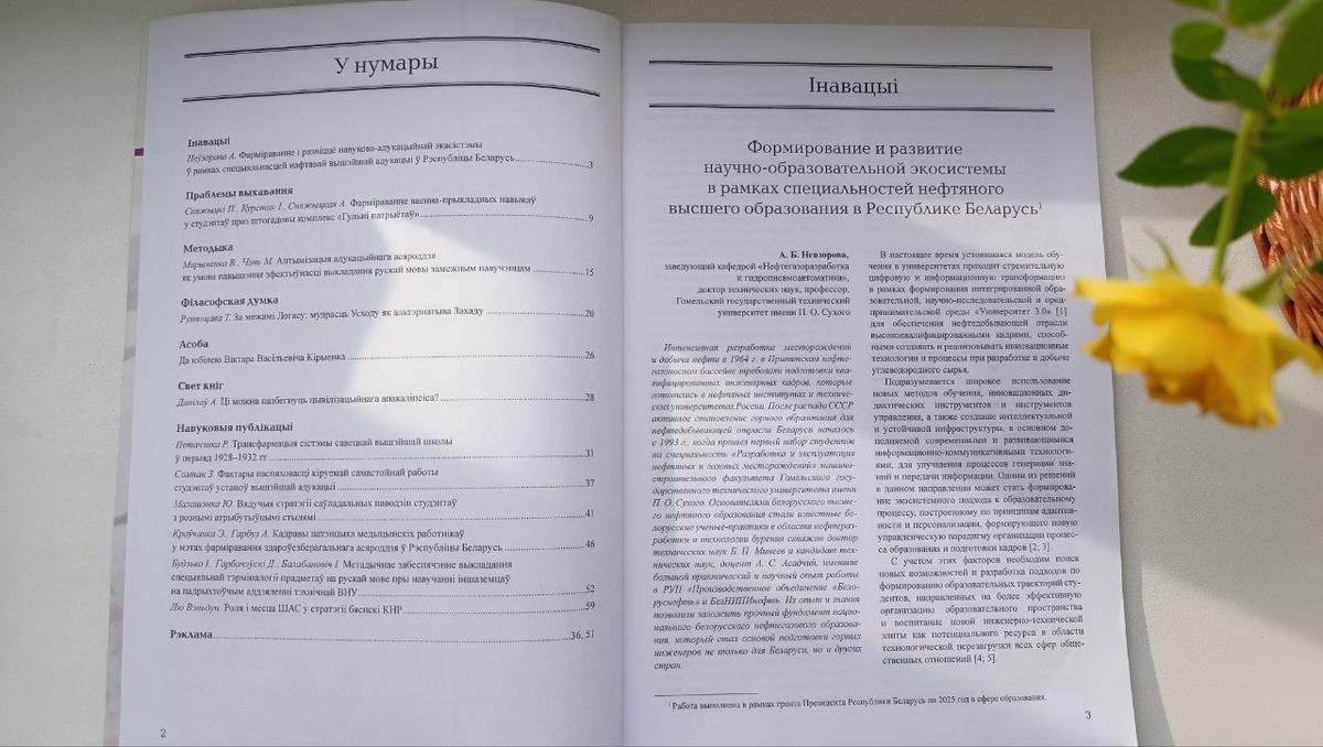 "Развитие научно-образовательной экосистемы" - статья профессора Невзоровой А.Б. в "Вышэйшэй школе"