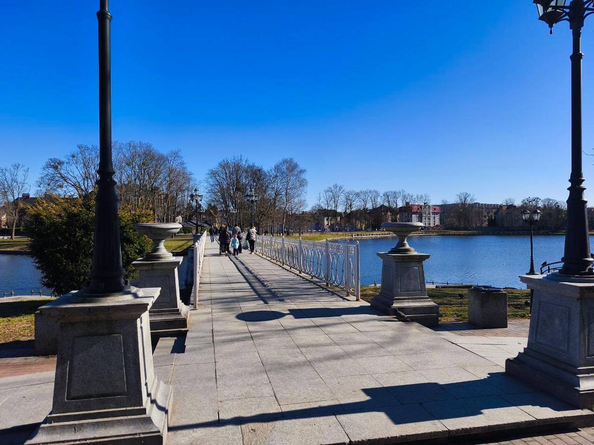 5 Студенты МСФ в Калининграде