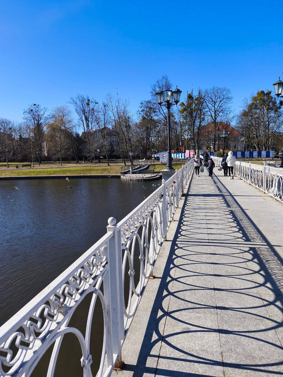 7 Студенты МСФ в Калининграде