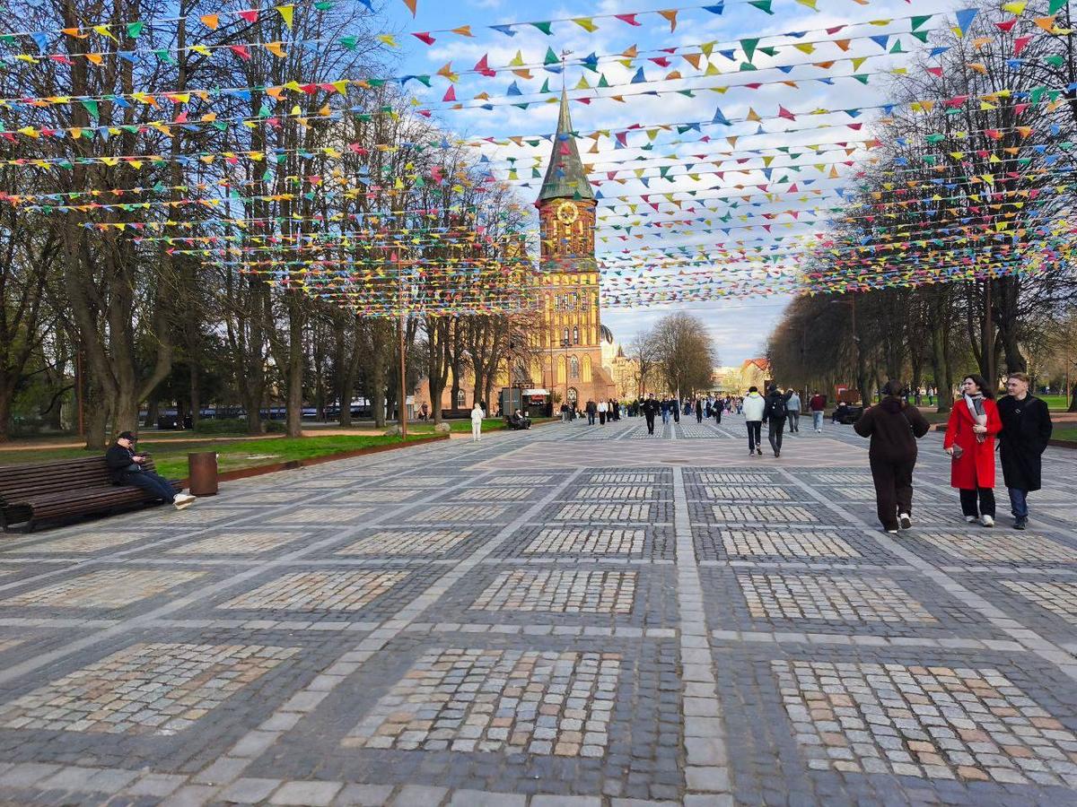 3 Студенты МСФ продолжают покорять Калининград