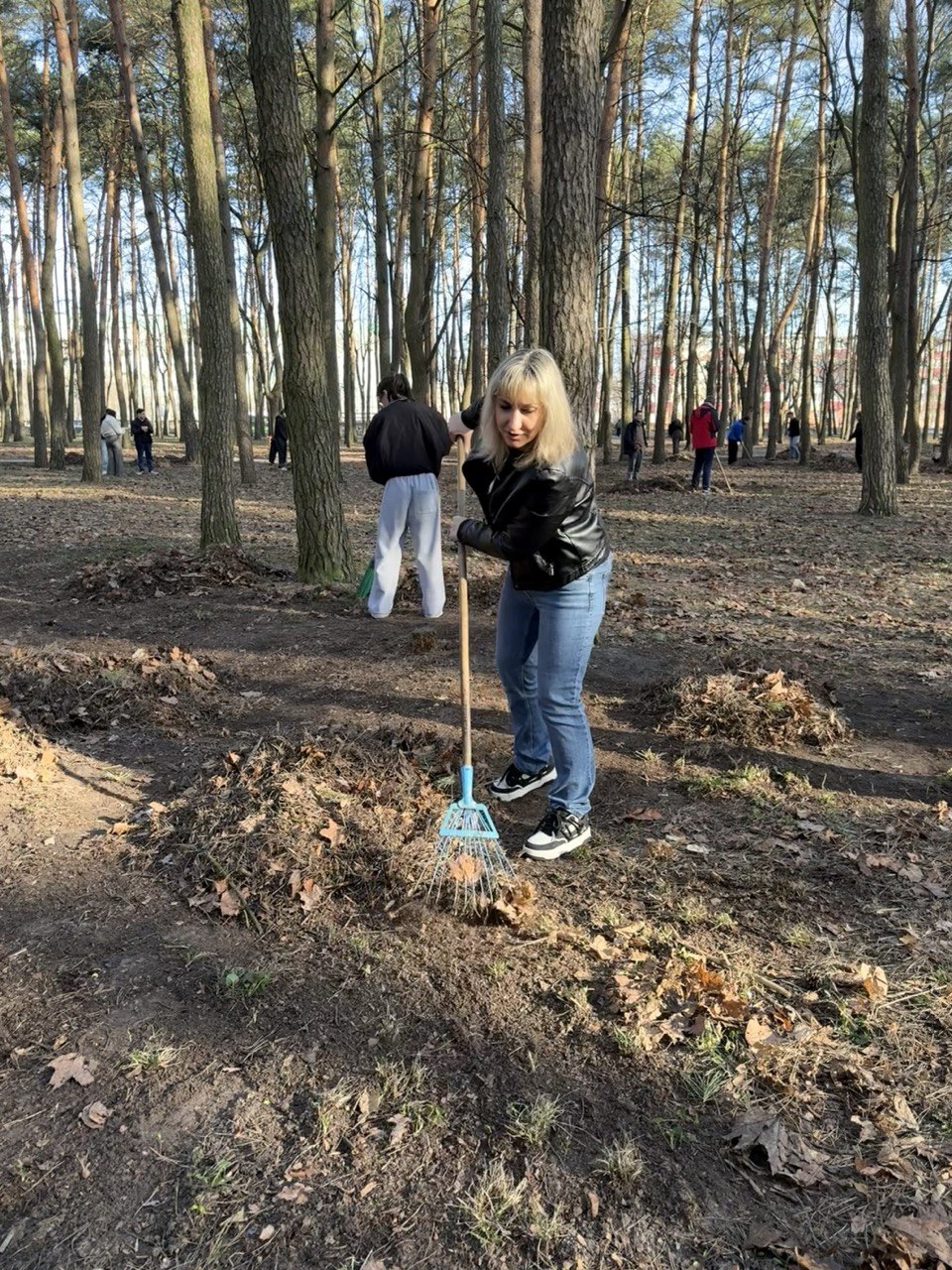 3 МСФ на областном субботнике 3 МСФ на областном субботнике