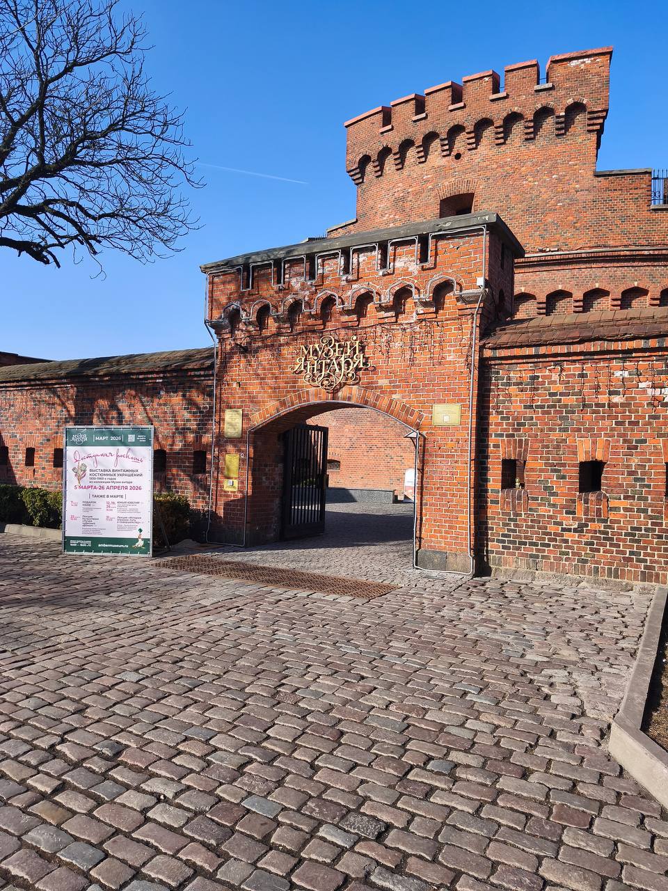 1 Студенты МСФ в Калининграде