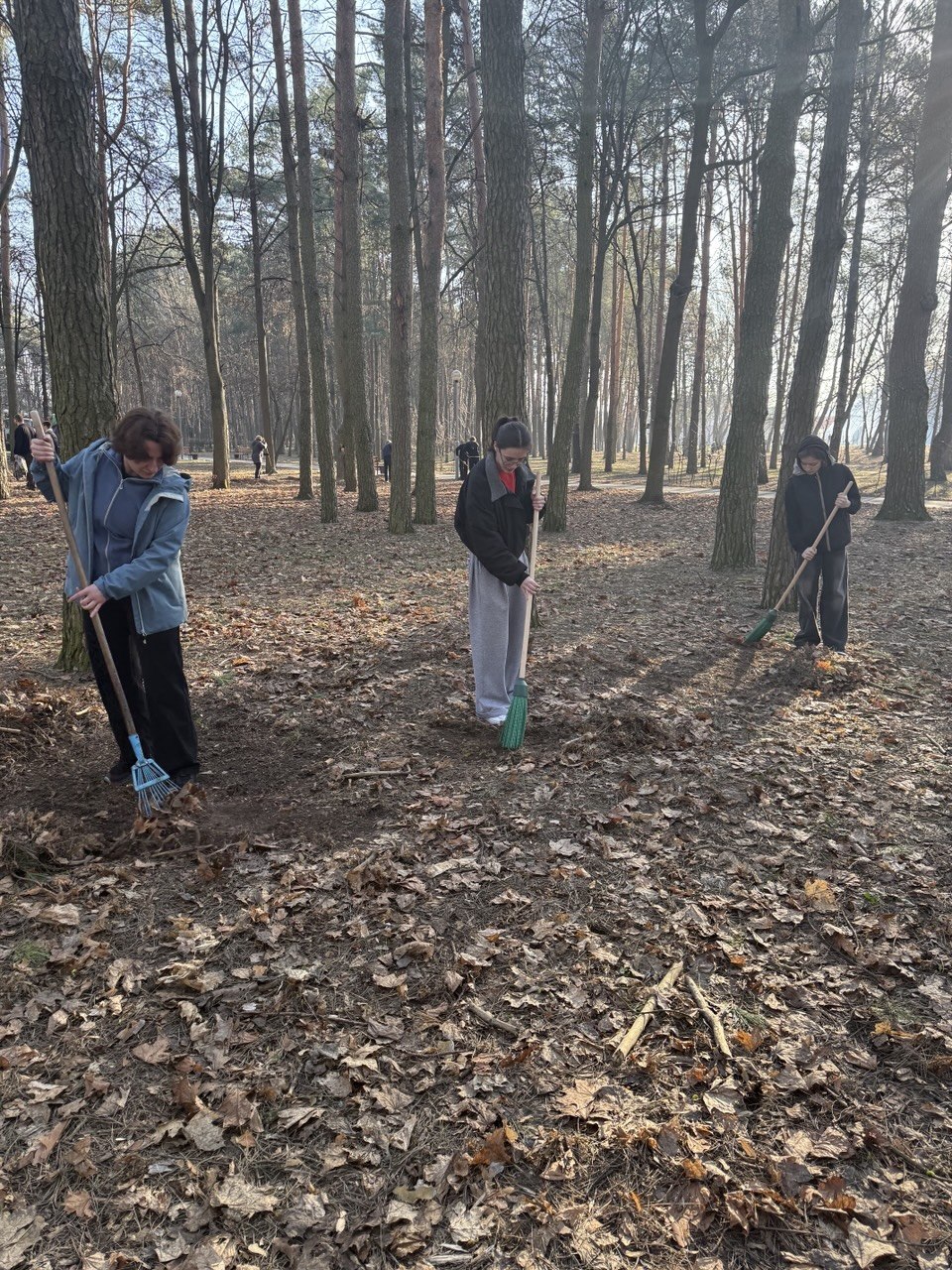 4 МСФ на областном субботнике 4 МСФ на областном субботнике