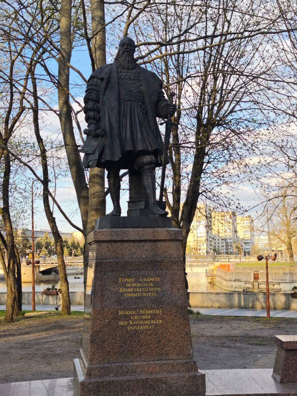 5 Студенты МСФ продолжают покорять Калининград